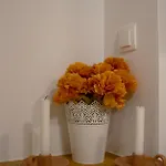 Apartma Poppqi's